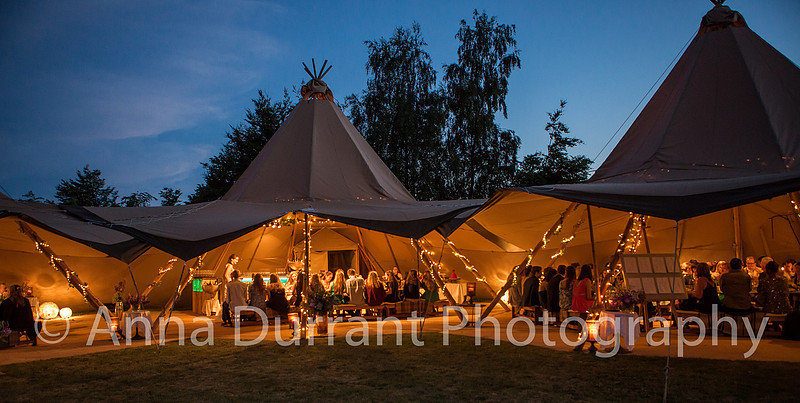 Wiltshire party